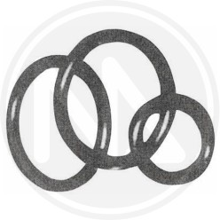 O-RING GASKET art. 2644