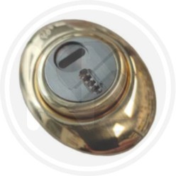 MECHANICAL DEFENDER "MecDef" POLISHED BRASS SECUREMME