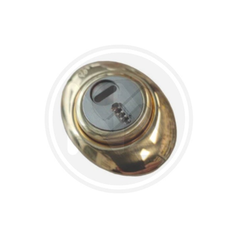 MECHANICAL DEFENDER "MecDef" POLISHED BRASS SECUREMME