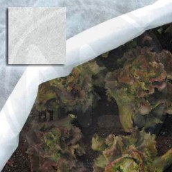 telo DI PROTEZIONE per ortaggi IN ROTOLO in tnt papillon