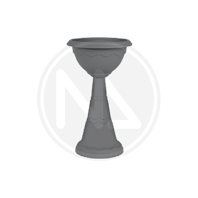 ANTHRACITE COLUMN CUP