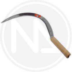 falciola dentata elefante 2501