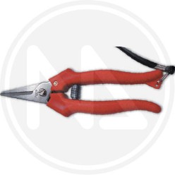 Grape shear  "ausonia"