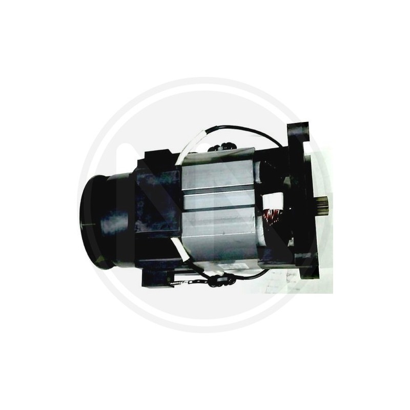 RICAMBI PER IDROPULITRICE (99549) PAPILLON - MOTORE