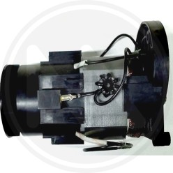 RICAMBI PER IDROPULITRICE (99547) PAPILLON - MOTORE