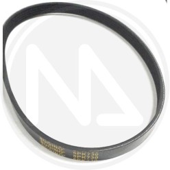 RICAMBI PER MOTOCOLTIVATORE (55124) PAPILLON - CINGHIA P28