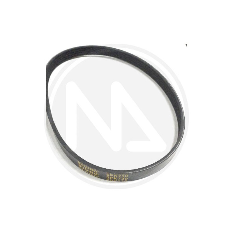 RICAMBI PER MOTOCOLTIVATORE (55124) PAPILLON - CINGHIA P28