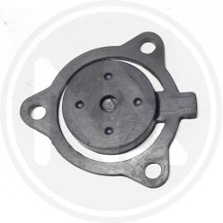 REPLACEMENT FOR MOTOR PUMP (81527) PAPILLON - PUMP VALVES