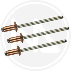 copper rivets in blister 3,8 MM. maurer*