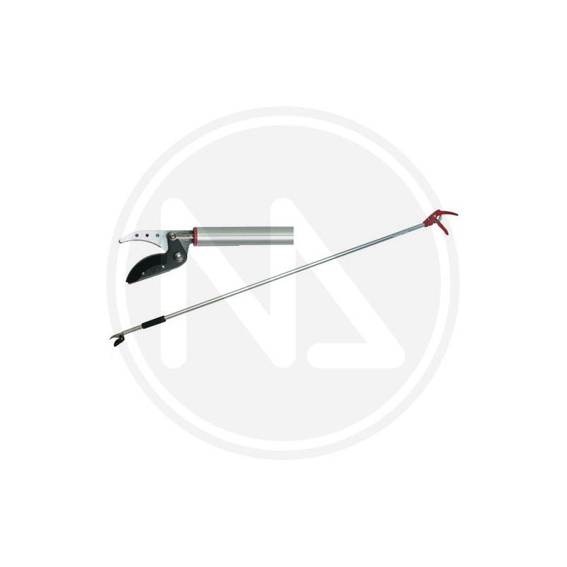 fruit picker shear papillon