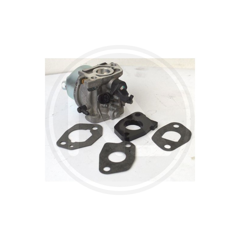 RICAMBI PER RASAERBA (95481-95482-93896-93897) PAPILLON - CARBuratore