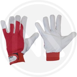 GRAIN LEATHER GLOVES "GOLF" MAURER