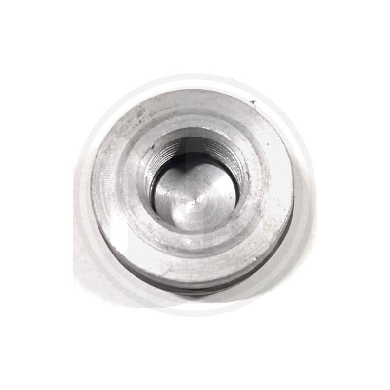 spare parts for wood splitter (80611) PAPILLON - TENUTE MECCHANICHE E PISTONE