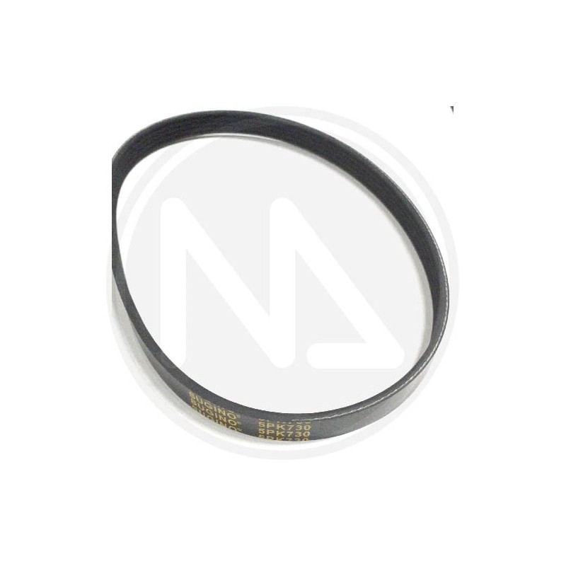 RICAMBI PER MOTOCOLTIVATORE (55124) PAPILLON - CINGHIA P28
