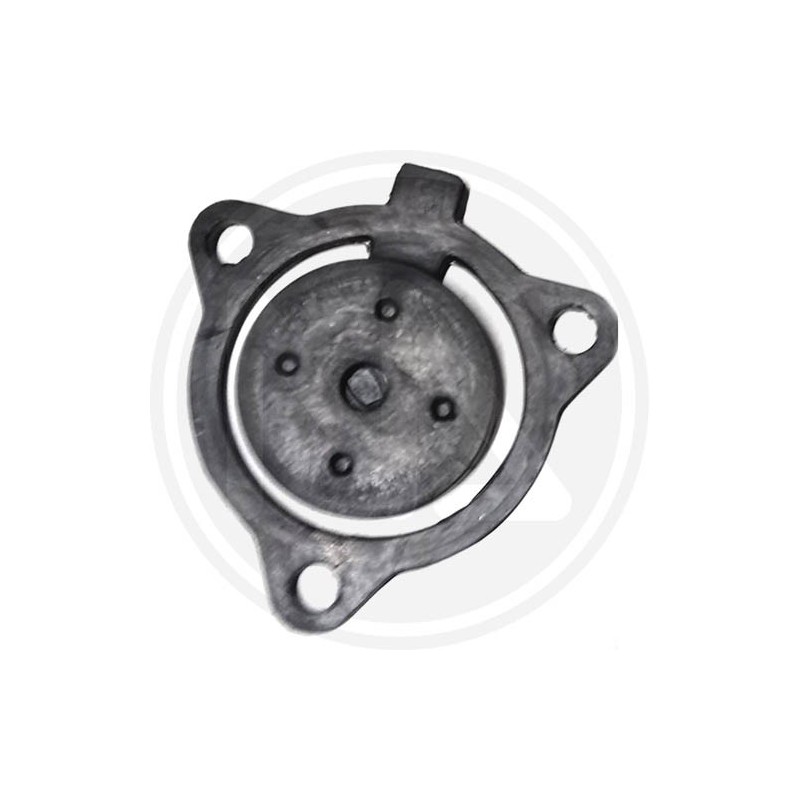 REPLACEMENT FOR MOTOR PUMP (81527) PAPILLON - WATER SEAL