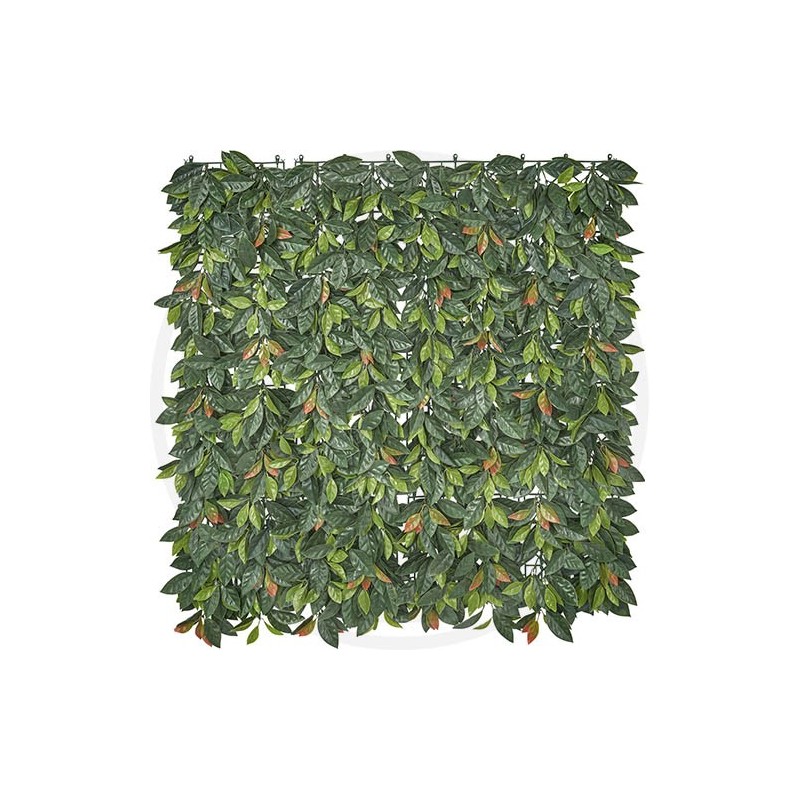 leaves fencing net "PHOTINIA" papillon